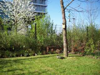 Location appartement 4 pièces