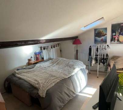 Location appartement 1 pièce Lyon 1er 69
