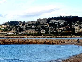 Location Appartement T1Marseille 7e