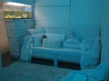 Location Appartement T1Massy