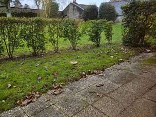 Location Studio 1 pièce
