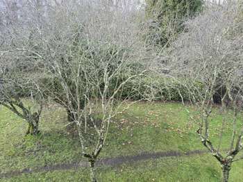 Location appartement 3 pièces Mérignac 33