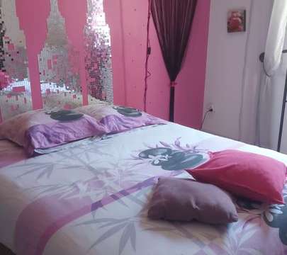 Location appartement 1 pièce Montauban 82