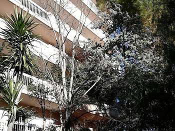 Location Appartement 2 piècesMontpellier