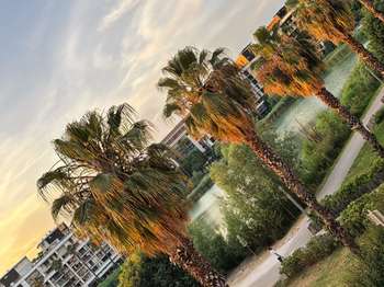 Location Appartement 2 piècesMontpellier