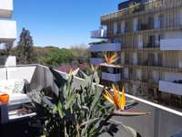 Location appartement 3 pièces Location appartement 3 pièces