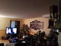 Location appartement T1 Nandy - 77