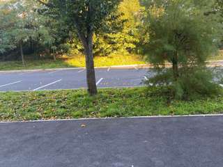 Location Studio 1 pièce
