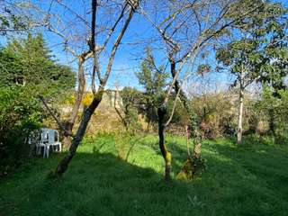 Location Studio 1 pièce