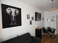 Location Studio 1 pièce Location Studio 1 pièce