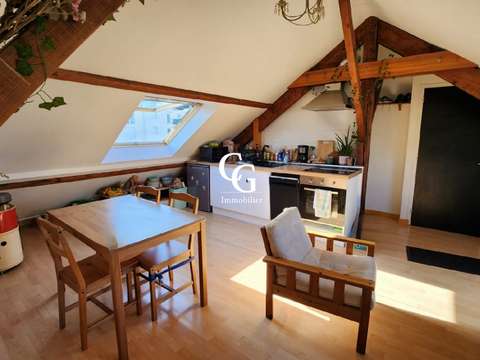 Location appartement 3 pièces Nantes Île de Nantes 44