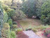 Location Studio 1 pièce