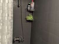 Location Studio 1 pièce