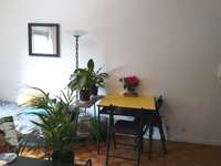 Location Studio 1 pièce