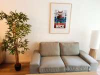 Location appartement 1 pièce Location appartement 1 pièce