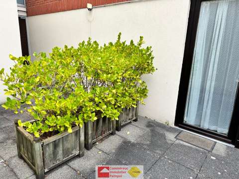 Location appartement 1 pièce Location appartement 1 pièce