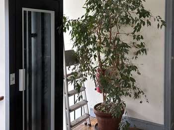 Location Appartement 3 piècesParis 11e