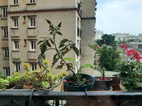 Location appartement 1 pièce Location appartement 1 pièce