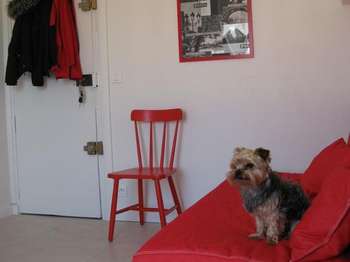Location appartement 1 pièce