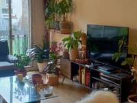Location appartement 2 pièces Location appartement 2 pièces