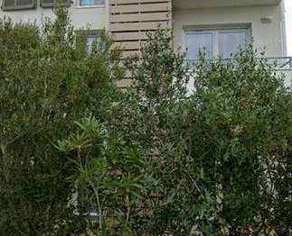 Location Appartement T1Périgny