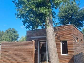 Location Studio 1 pièce