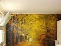 Location appartement T1 Poitiers - 86