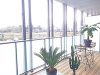 Location appartement