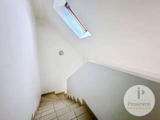 Location Studio 1 pièce