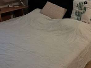 Location Appartement T1Ramonville-Saint-Agne
