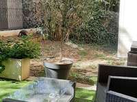 Location appartement 4 pièces Location appartement 4 pièces
