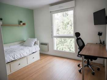 Location Studio 1 pièce