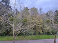 Location Studio 1 pièce
