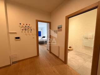Location Studio 1 pièce