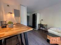Location Studio 1 pièce