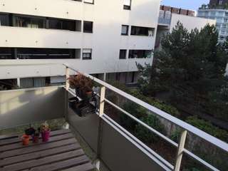 Location Studio 1 pièce