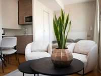 Location appartement 1 pièce Location appartement 1 pièce