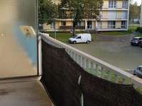 Location appartement 4 pièces