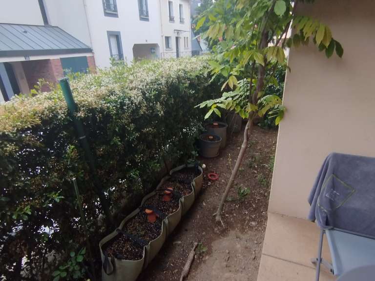 Location appartement 3 pièces