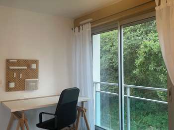 Location Studio 1 pièce