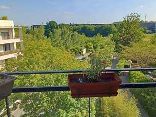 Location appartement 4 pièces