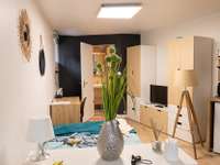 Location appartement 1 pièce Location appartement 1 pièce