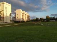 Location appartement 3 pièces Location appartement 3 pièces