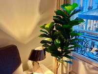 Location Studio 1 pièce