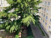 Location Chambre 1 pièce Location Chambre 1 pièce