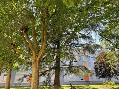 Location appartement 4 pièces Rennes Villejean 35