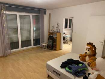 Location appartement 1 pièce Riedisheim 68