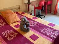 Location appartement 3 pièces