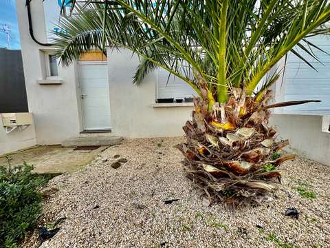 Location appartement 4 pièces Saint-Brieuc 22