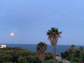 Location appartement 5 pièces Saint-Cyr-sur-Mer 83